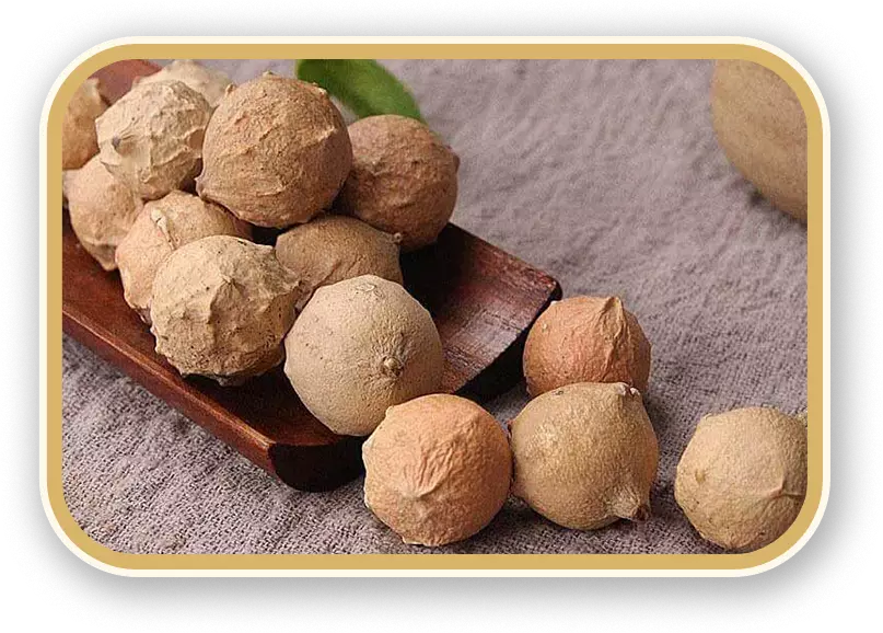 روغن مازو چیست؟4