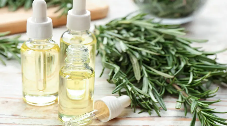 خرید روغن رزماری اصل برای تسکین درد مفاصل