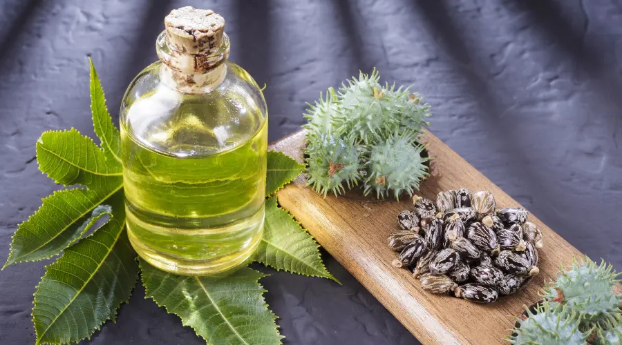 روغن کرچک به‌عنوان پایه ماسک مو خانگی