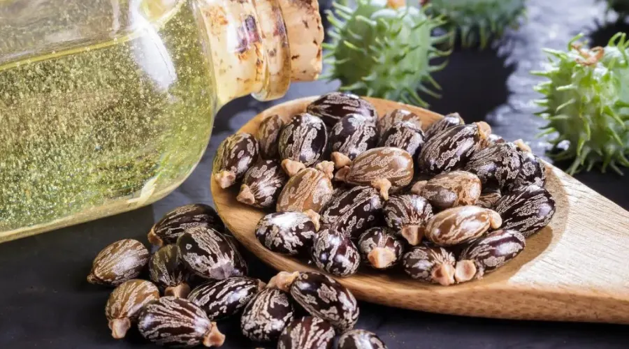 روغن کرچک مناسب برای پوست های خشک و آسیب دیده