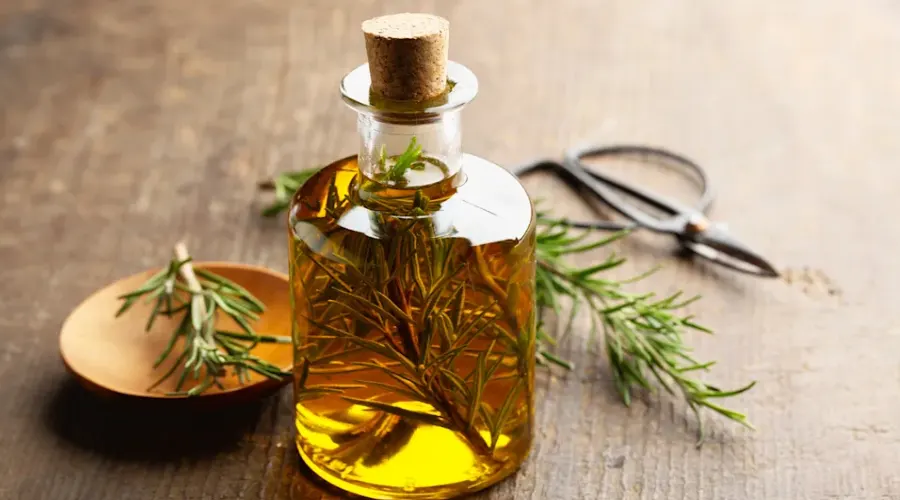 روغن رزماری برای آروماتراپی و اعصاب